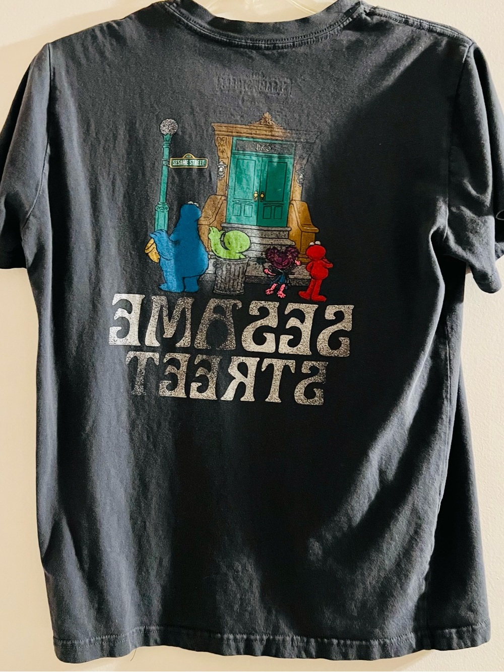 Sesame Street Gray Graphic Print with Blue, Green, Red Accents M